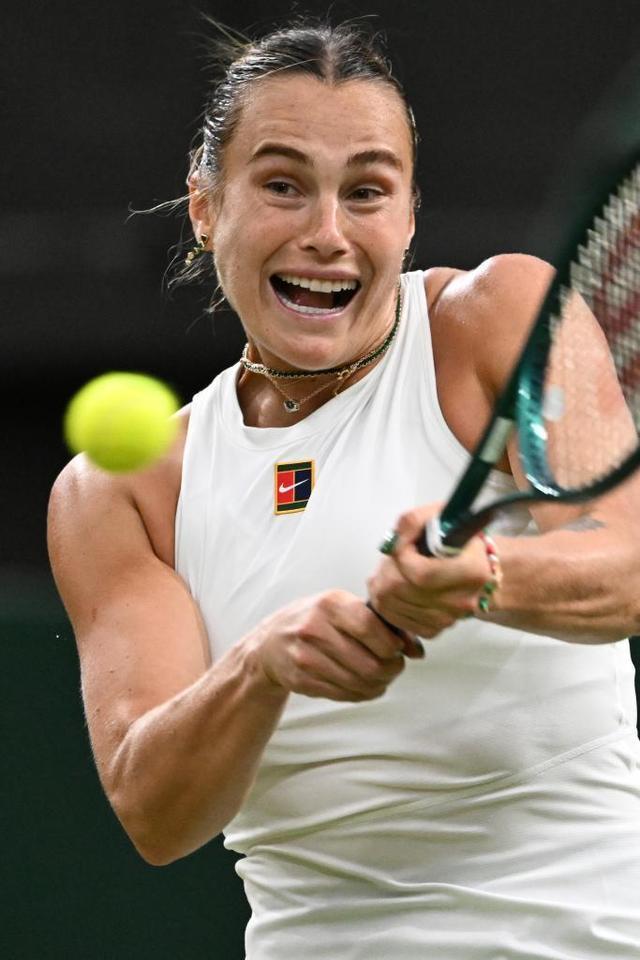 功的重要因 功的重要因