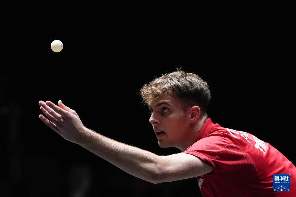 他们的言论 他们的言论